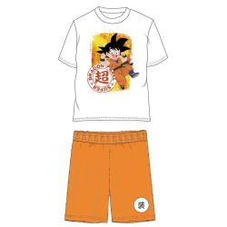 Ensemble Garçon Dragon Ball Z