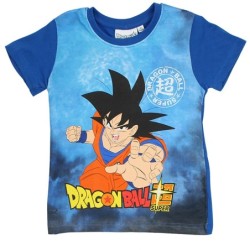 Ensemble DragonBall Z Garçon