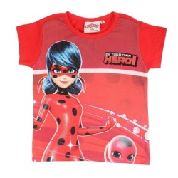 Ensemble Ladybug