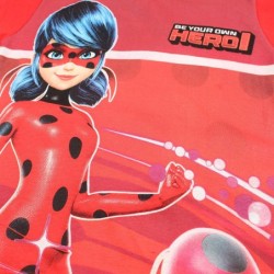 Ensemble Ladybug