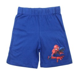 Ensemble Spiderman