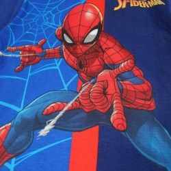 Ensemble Spiderman