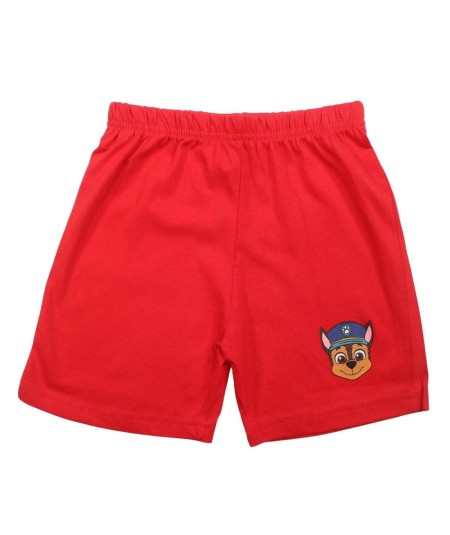 Ensemble Paw Patrol