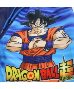 Short de bain dragon ball.